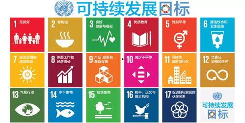 奥园集团爆料新闻最新,揭秘企业转型背后的故事与挑战  第2张