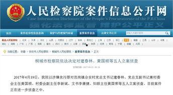 桐城网红爆料案件最新情况,案情反转，疑点重重揭晓  第3张