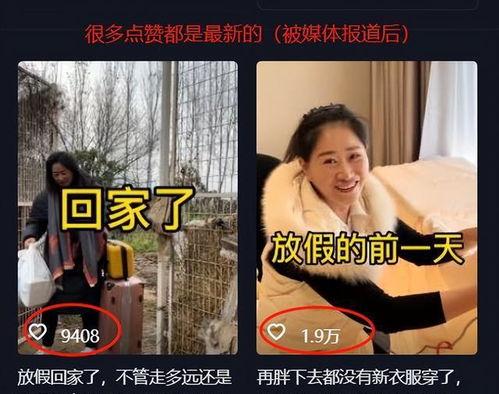 安静保姆爆料视频,揭秘安静家庭背后的秘密