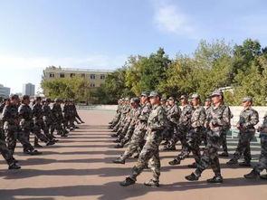 军训最新爆料文案,最新爆料揭秘训练场上的热血瞬间